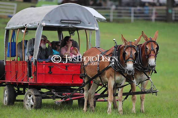 Whiskey Ridge Ranch (Chuckwagon Races) 5-25-24_JWM_0388