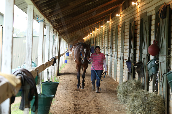 Arkansas Derby 4-11-2014 (© Justin Manning) JWM_0130