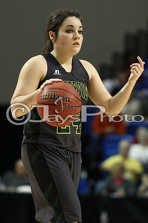 Nemo Vista vs. Wonderview 1A Girls State Finals 3-12-2015 (©Justin Manning) JWM_327