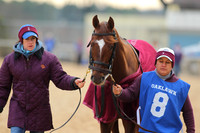 Oaklawn Smarty Jones Stakes 1-18-2016 (©Justin Manning) JWM_(0068