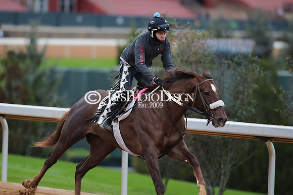 z250104_SmartyJonesStakesDay _JWM_0073