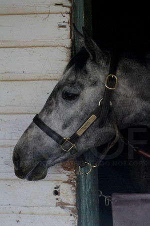 Oaklawn 1-11-13 (Justin Manning)0005