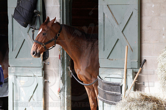 Oaklawn 1-11-13 (Justin Manning)0028