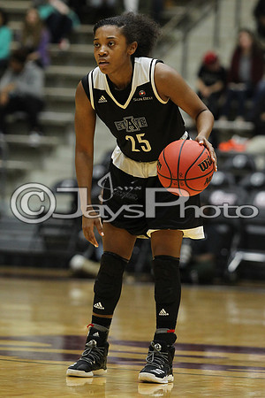 Arkansas State @ Little Rock Women's Basketball 1-14-17_JWM_00538