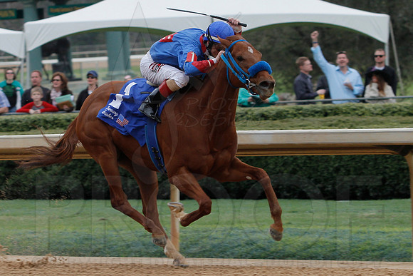 Fantasy Stakes 4-5-2014 (© Justin Manning) JWM_0870