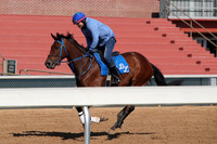 Apple Blossom Stakes Day 4-12-25_JWM_0044