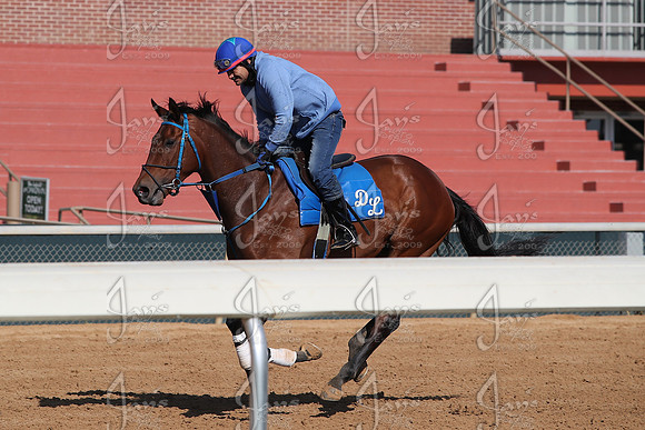 Apple Blossom Stakes Day 4-12-25_JWM_0044