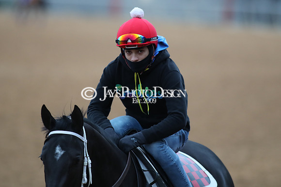 z250104_SmartyJonesStakesDay _JWM_0034