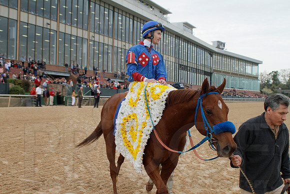 Fantasy Stakes 4-5-2014 (© Justin Manning) JWM_0950