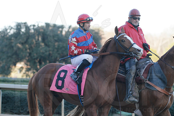 Oaklawn 1-21-13 (Smarty Jones Stakes) (Justin Manning)0179