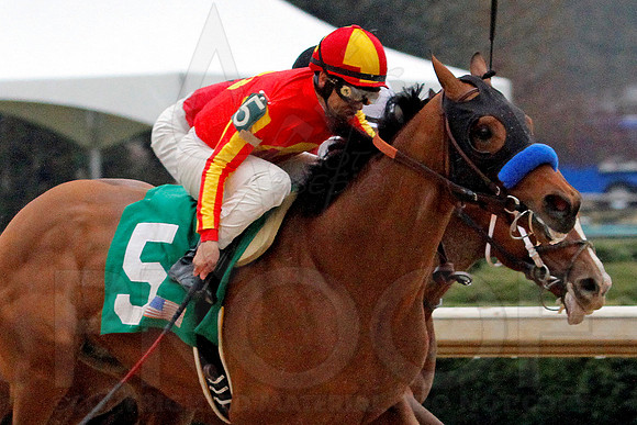 Rebel Stakes 3-15-14 3-15-2014 (© Justin Manning) JWM_0243-2