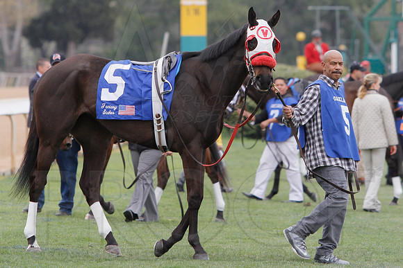Fantasy Stakes 4-5-2014 (© Justin Manning) JWM_0562