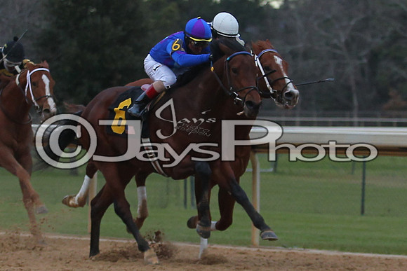 Oaklawn Smarty Jones Stakes 1-18-2016 (©Justin Manning) JWM_(0454