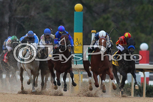 Oaklawn Smarty Jones Stakes 1-18-2016 (©Justin Manning) JWM_(0452