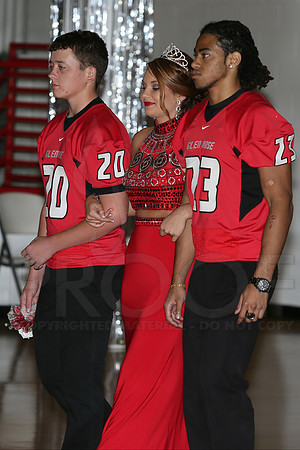 Football Homecoming (Day Ceremony) 10-10-2014 (©Justin Manning) JWM_0063