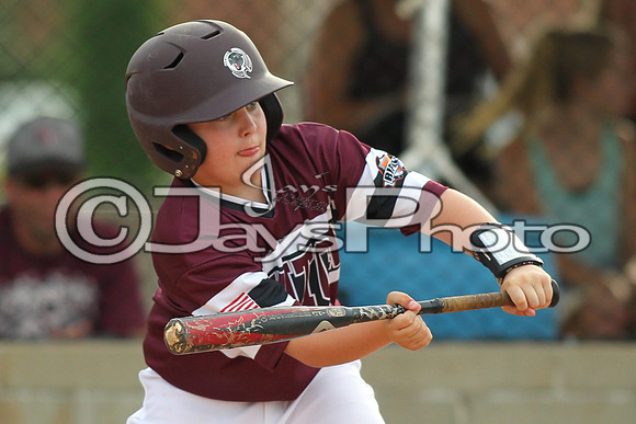 Benton vs. Clark County 6-27-16_JWM_0080
