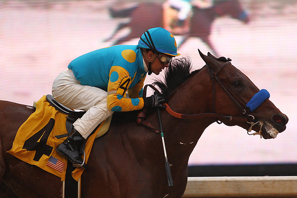 Oaklawn (Rebel Stakes Day) 3-14-2015 (©Justin Manning) JWM_366