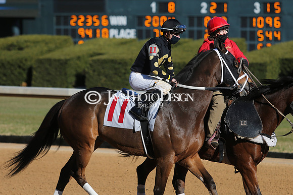 z210122_SmartyJonesStakesDay_Manning_0076