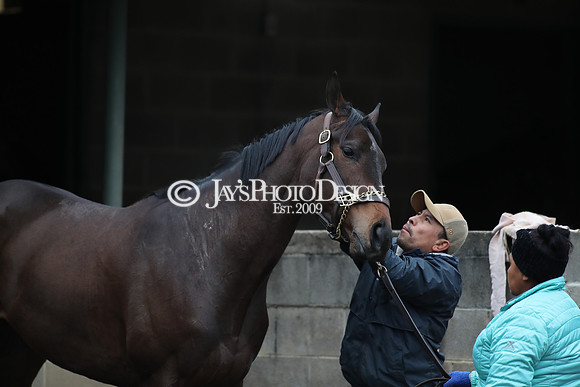 z250104_SmartyJonesStakesDay _JWM_0142