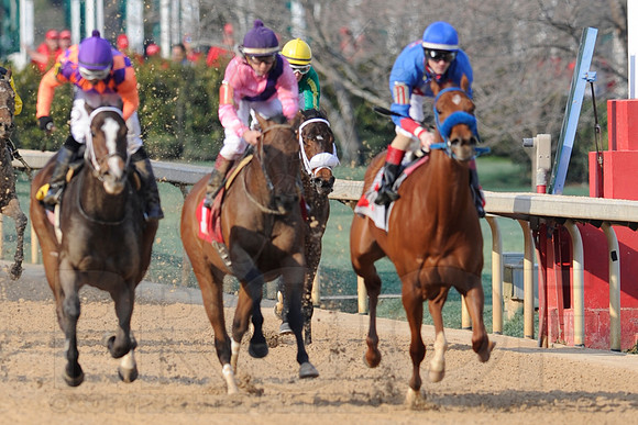 Honeybee Stakes (Grade III) 3-8-2014 (© Justin Manning) JWM_1405