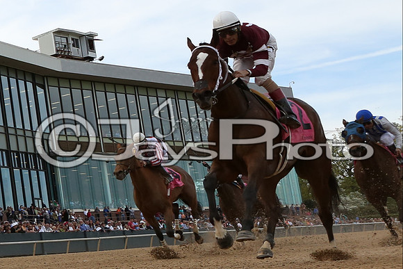 Apple Blossom (Grade I) 4-10-2015 (©Justin Manning) JWM_0026