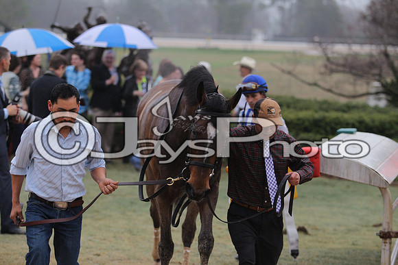 Oaklawn (Rebel Stakes Day) 3-14-2015 (©Justin Manning) JWM_120