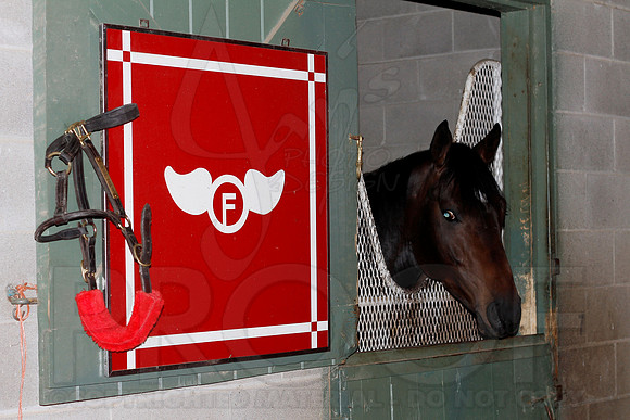 Oaklawn 1-13-13 (Justin Manning)0018