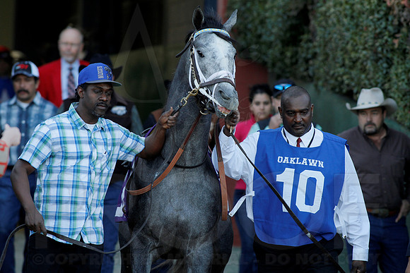 Smarty Jones Stakes 01-20-14 (©Justin Manning) JWM_0224
