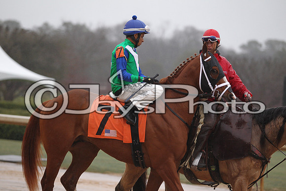 Oaklawn (Rebel Stakes Day) 3-14-2015 (©Justin Manning) JWM_265
