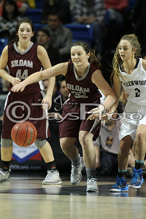 Greenwood vs. Siloam Springs 6A State Finals 3-13-2015 (©Justin Manning) JWM_031