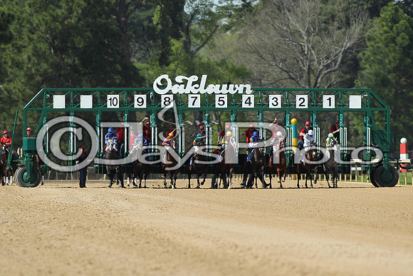 Arkansas Derby Day 4-11-2015 (©Justin Manning) JWM_0099