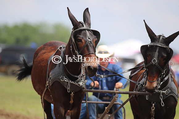 Whiskey Ridge Ranch (Chuckwagon Races) 5-25-24_JWM_0796