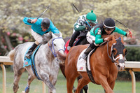 Fantasy Stakes 4-5-2014 (© Justin Manning) JWM_0219
