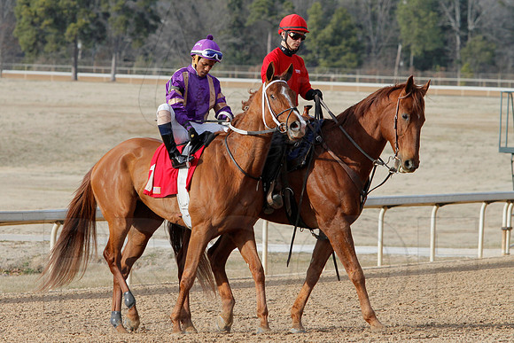 Oaklawn Park (Scenery) 1-26-14 (©Justin Manning) JWM_0136