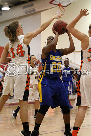 Tri-Lakes All Star Baketball Game 3-17-2015 (©Justin Manning) JWM_0005