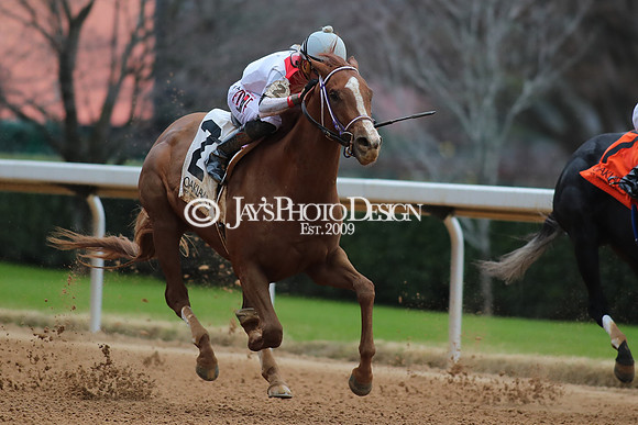z250104_MockingbirdStakes _JWM_0592