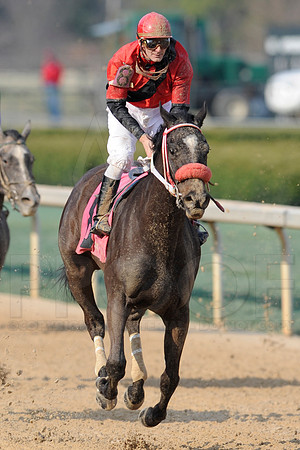 Honeybee Stakes (Grade III) 3-8-2014 (© Justin Manning) JWM_1435