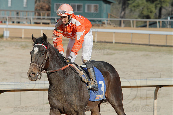 Oaklawn Park (Scenery) 1-26-14 (©Justin Manning) JWM_0049
