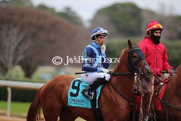 z250104_MockingbirdStakes _JWM_0576