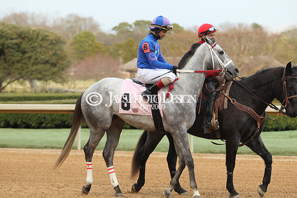 z190125_SmartyJonesStakesDay_Manning_0278