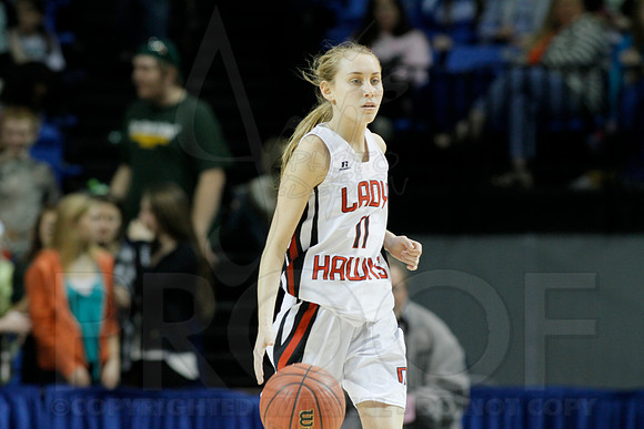 1A Girls State Finals-Nemo Vista vs. Wonderview 3-14-2014 (© Justin Manning) JWM_0200