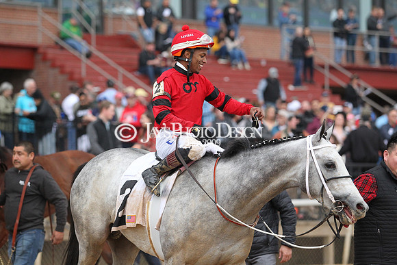 z200217_SouthwestStakesDay_Manning_4213
