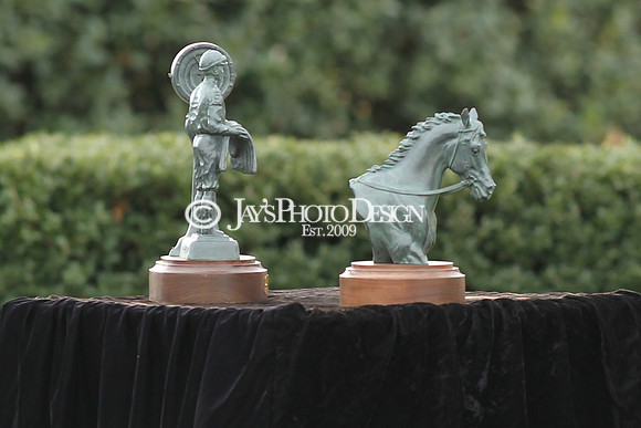 z190218_SouthwestStakesDay_Manning_631