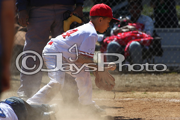 Arkansas Prospects vs. Bryant Hornets 8-9 year olds 3-29-2015 (©Justin Manning) JWM_0260