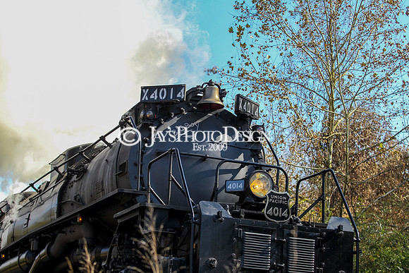 JWM_0388