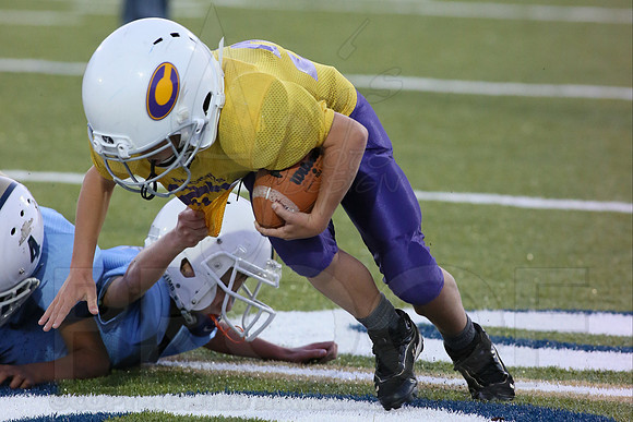 Catholic @ Pulaski Academy (Peewee) 10-14-2014 (©Justin Manning) JWM_0097
