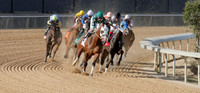 Oaklawn Park (Scenery) 1-26-14 (©Justin Manning) JWM_0025