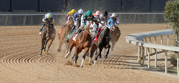 Oaklawn Park (Scenery) 1-26-14 (©Justin Manning) JWM_0025