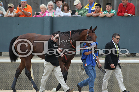 Arkansas Derby Day 4-11-2015 (©Justin Manning) JWM_2303