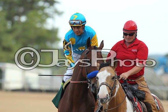Arkansas Derby Day 4-11-2015 (©Justin Manning) JWM_2512